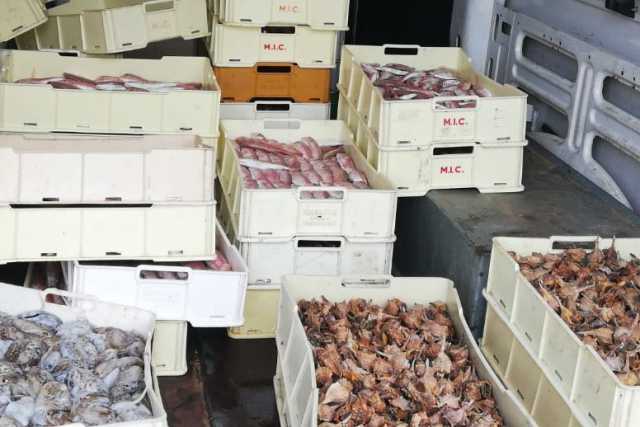 Bari, Polizia sequestra 800 kg di pesce: donati alle famiglie bisognose